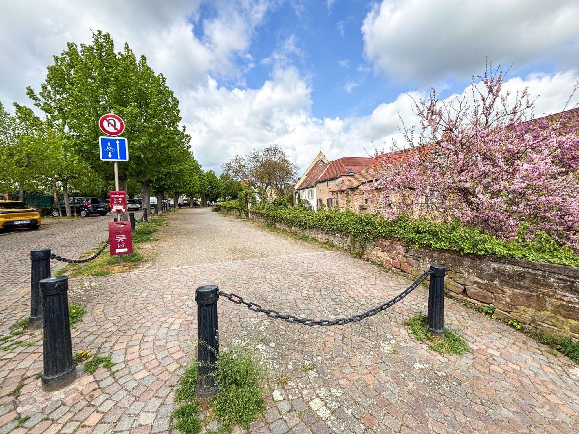 Le Pavillon Des Remparts - Commerces A Proximite - Centre-Ville - Appartement Cosy Obernai Exteriör bild